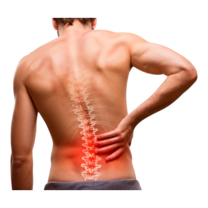 NATURAL HERBAL PLAST plaster ziołowy arnika kurkuma duży 12x18 cm 1 szt