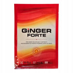 GINGER FORTE plaster rozgrzewający odżywiajacy duży rozmiar 12x18 cm 1 szt